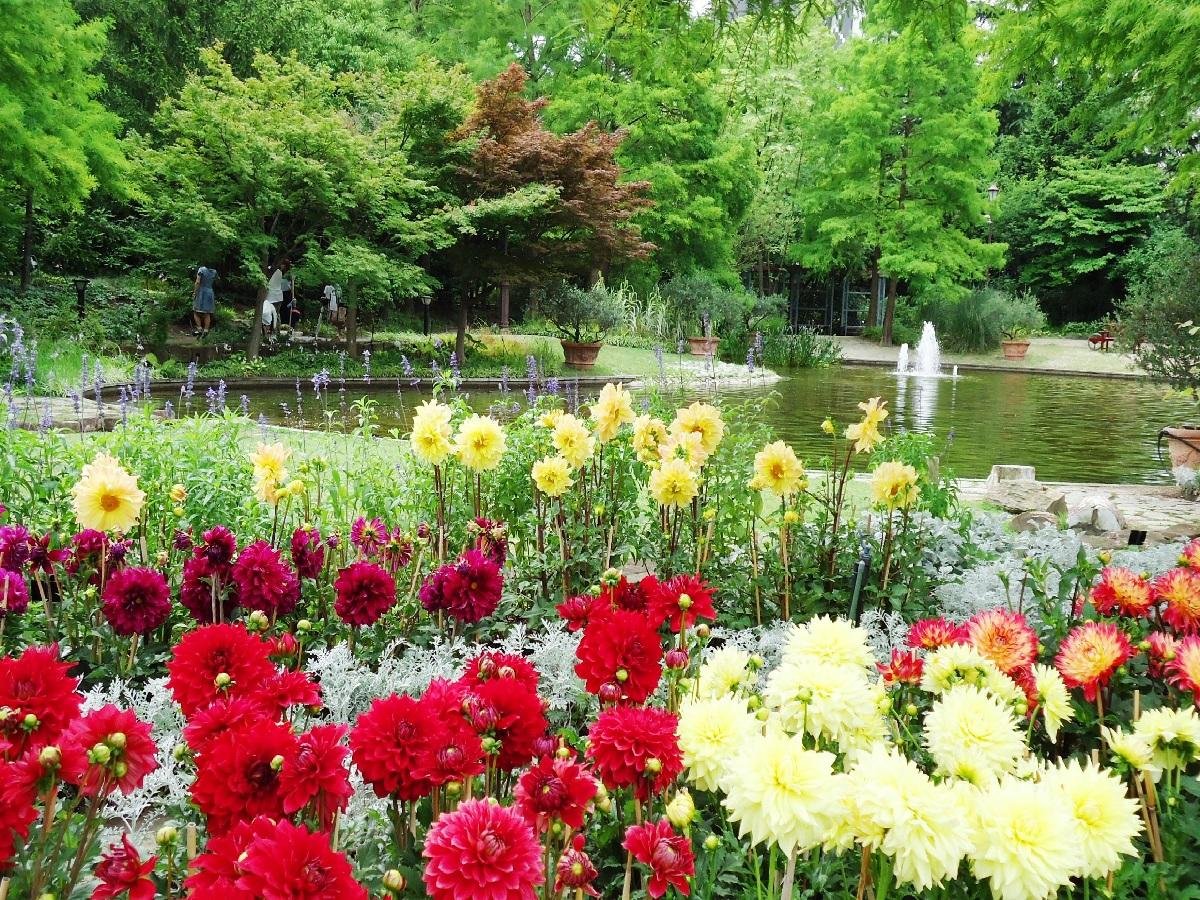 🌸 히사야오도리 정원 플라리에